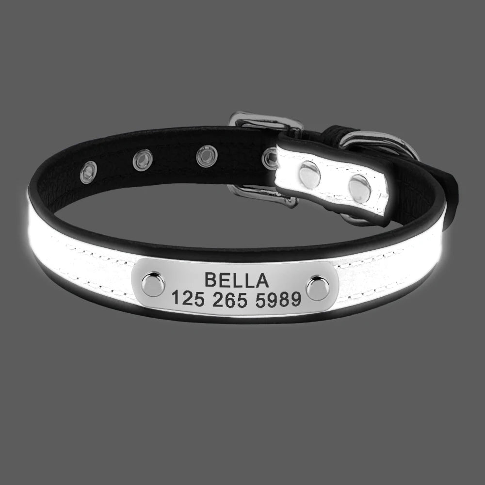 Engrave Reflective Dog Collar with Custom Leather