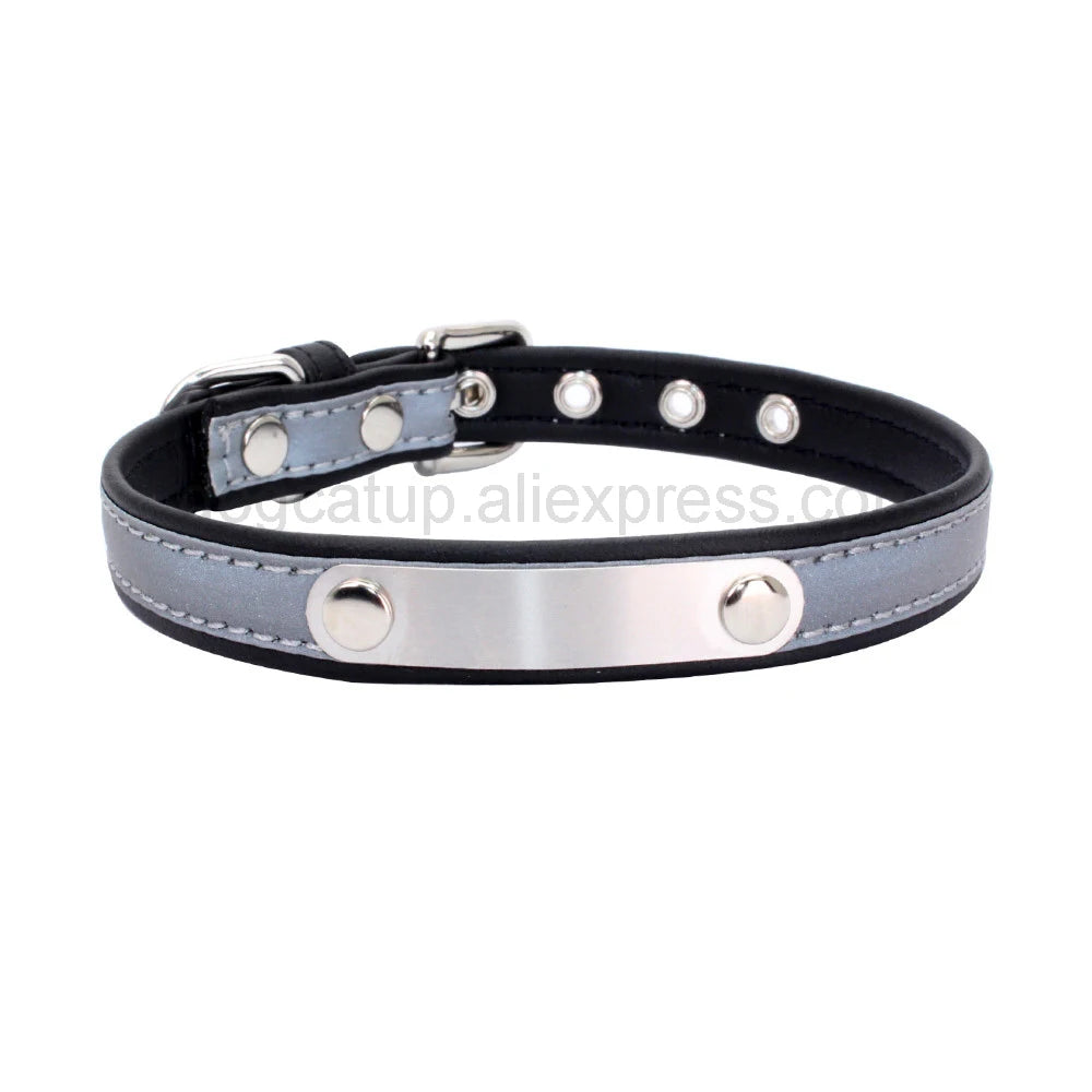 Engrave Reflective Dog Collar with Custom Leather