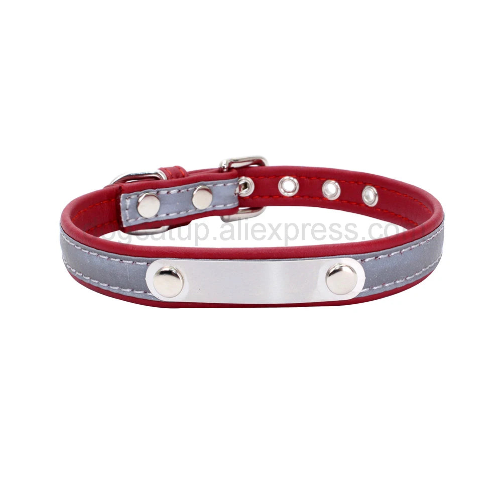 Engrave Reflective Dog Collar with Custom Leather