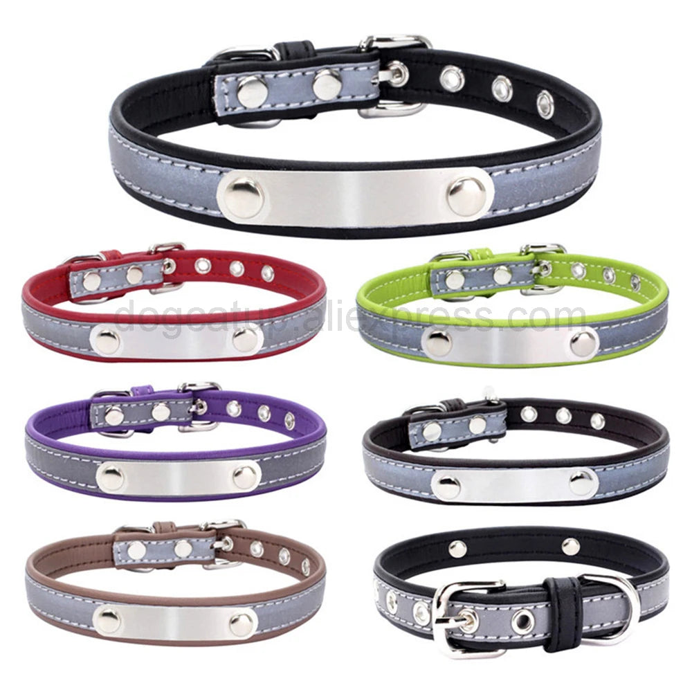 Engrave Reflective Dog Collar with Custom Leather