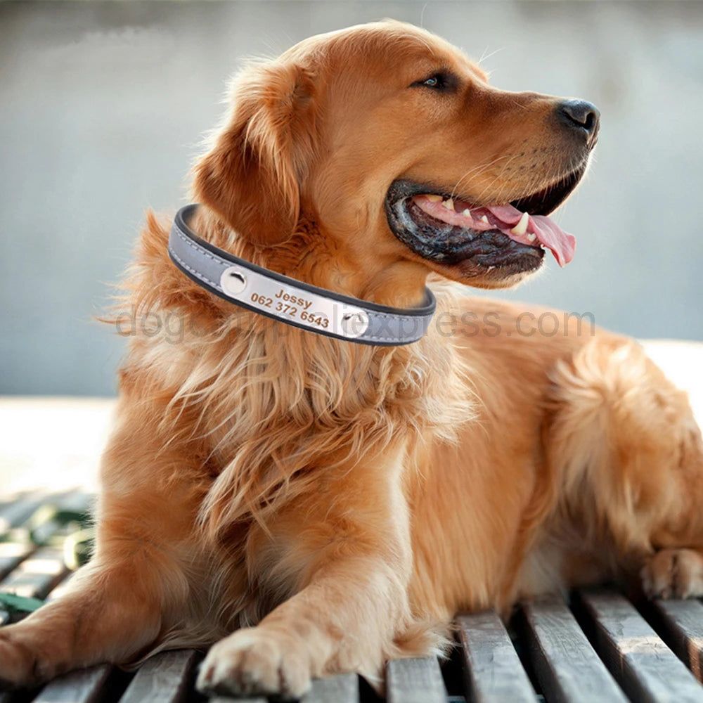 Engrave Reflective Dog Collar with Custom Leather